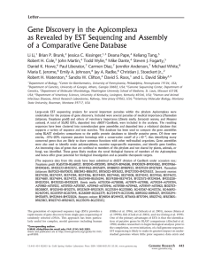 Gene Discovery in the Apicomplexa as Revealed by EST