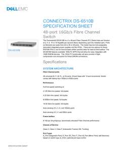 EMC CONNECTRIX® DS