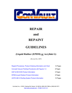 Repair and Repaint Guidelines December 2007