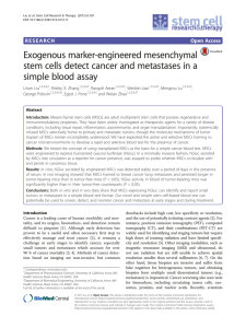 Exogenous marker-engineered mesenchymal stem cells detect