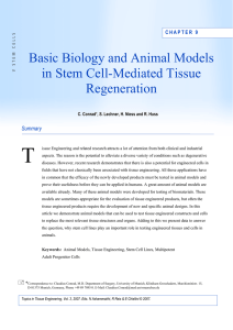 Chapter 9: Basic Biology and Animal Models in Stem Cell