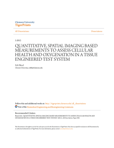quantitative, spatial imaging based measurements to
