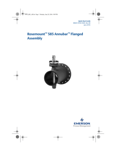 Rosemount™ 585 Annubar™ Flanged Assembly