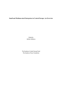 Small and Medium-sized Enterprises in Central Europe: An Overview