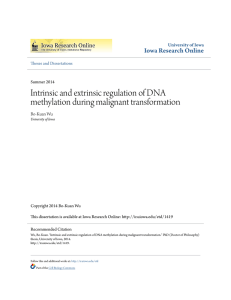Intrinsic and extrinsic regulation of DNA methylation during