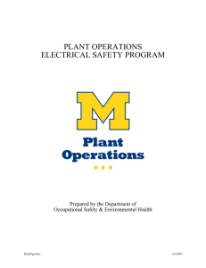 PLANT OPERATIONS ELECTRICAL SAFETY PROGRAM