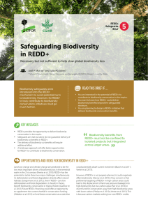 Safeguarding Biodiversity in REDD+