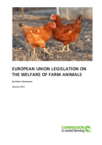 european union legislation on the welfare of farm animals