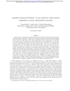 Antithetic Integral Feedback: A new motif for robust perfect