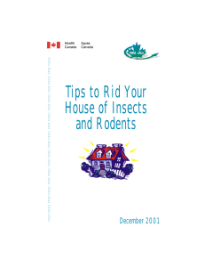 Tips to Rid your House of Insects and Rodents