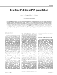 Real-time PCR for mRNA quantitation