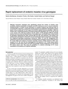 Rapid replacement of endemic measles virus genotypes