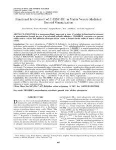 Functional Involvement of PHOSPHO1 in Matrix Vesicle–Mediated