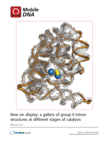 Now on display: a gallery of group II intron structures at different