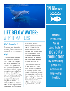 LIFE BELOW WATER: WHY IT MATTERS