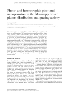 Photo- and heterotrophic pico- and nanoplankton in the Mississippi