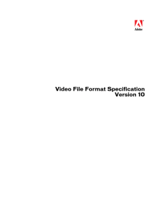 Video File Format Specification Version 10