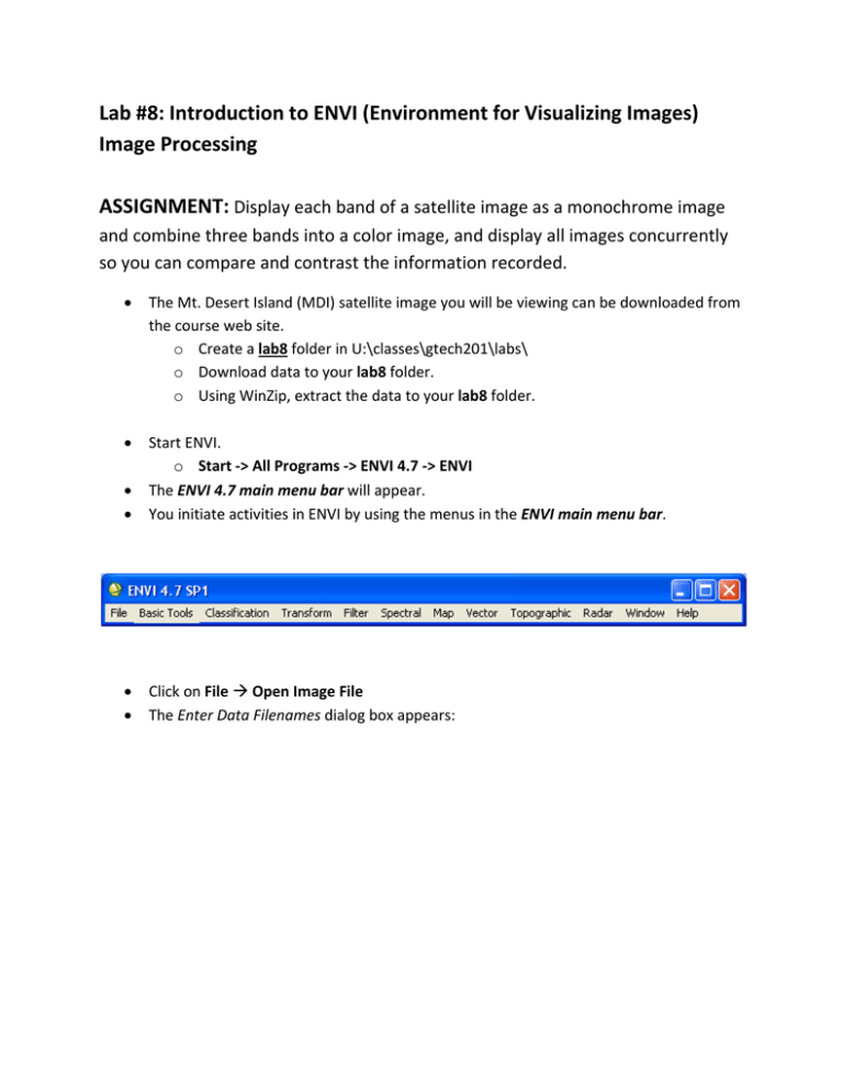 image processing assignment pdf