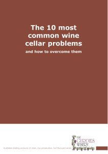 The 10 most common wine cellar problems