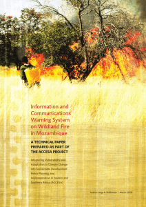 Information and Communications Warning System on Wildland Fire