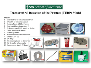 Transurethral Resection of the Prostate (TURP) Model