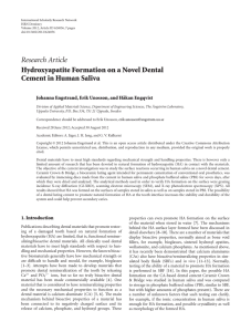 Hydroxyapatite Formation on a Novel Dental Cement in Human Saliva