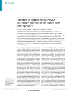 Vitamin D signalling pathways in cancer: potential for anticancer