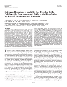 Estrogen Receptors and in Rat Decidua Cells