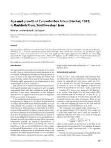 Age and growth of Carasobarbus luteus (Heckel, 1843) in Karkheh