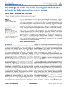 Visual target selection and motor planning define