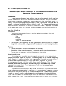 Determining the Molecular Weight of Amylase by Gel Filtration/Size