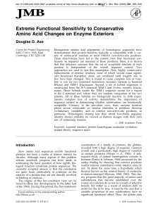 Extreme Functional Sensitivity to Conservative Amino Acid Changes