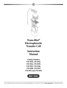 Trans-Blot® Electrophoretic Transfer Cell Instruction Manual - Bio-Rad