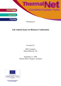 Ash Related Issues in Biomas Combustion