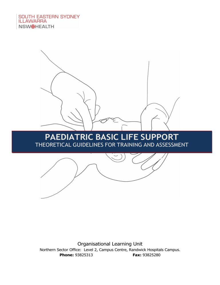 Paediatric Basic Life Support Theoretical Guidelines