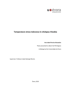 Temperature stress tolerance in chickpea rhizobia