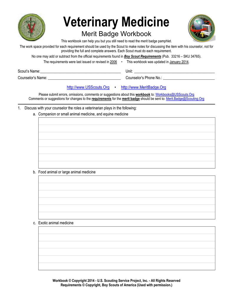 Animation Merit Badge Worksheet