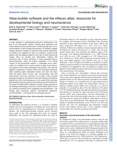 Atlas-builder software and the eNeuro atlas