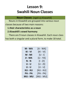 Lesson 9: Swahili Noun Classes