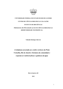 A ictiofauna associada aos costões rochosos da Praia