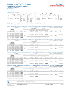 pdf data sheet - RG Industries, Inc.