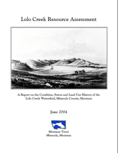 Lolo Creek Resource Assessment (2004)