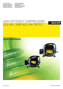 HIGH EFFICIENT COMPRESSORS DLX-KK.1 AND NLU