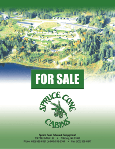 Gary and Doris Bedell, resident owners of Spruce Cone Cabins and
