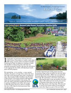 Lake Saving Project: Norowal Cabin Owners` Association Shoreline