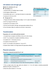 LB medium and LB agar gel Transformation Plasmid extraction