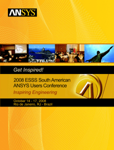 at the 2008 ESSS South American ANSYS Users Conference.