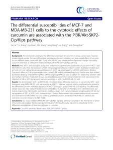The differential susceptibilities of MCF-7 and MDA-MB