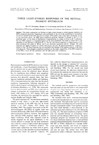 three light-evoked responses of the retinal pigment epithelium