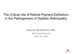 The Retinal Pigment Epithelium: Implications for the Pathogenesis of